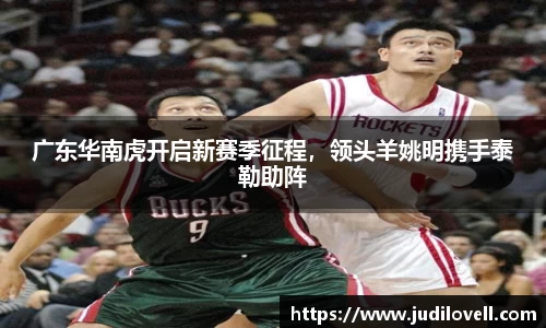 威廉希尔williamhill官网入口